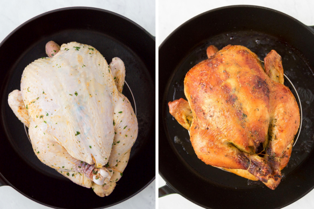 Myth Busting: Can Dogs Eat Chicken Bones?