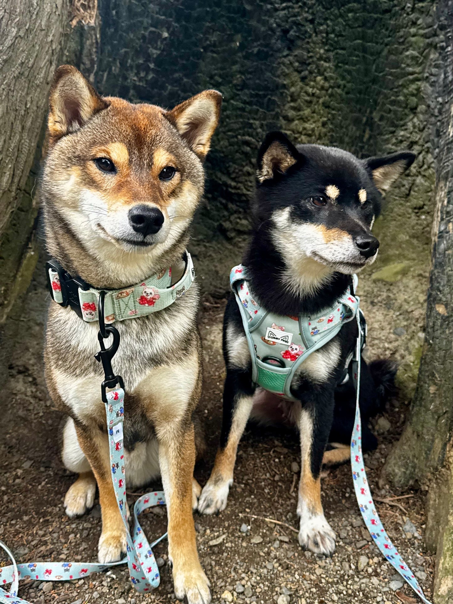 SHIBA SQUAD: Tactical Dog Collar