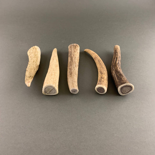 Deer Antler Chew - Small