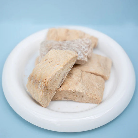 Freeze Dried Salmon Fillet