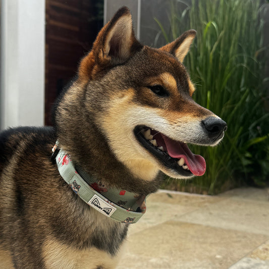 SHIBA SQUAD: Tactical Dog Collar