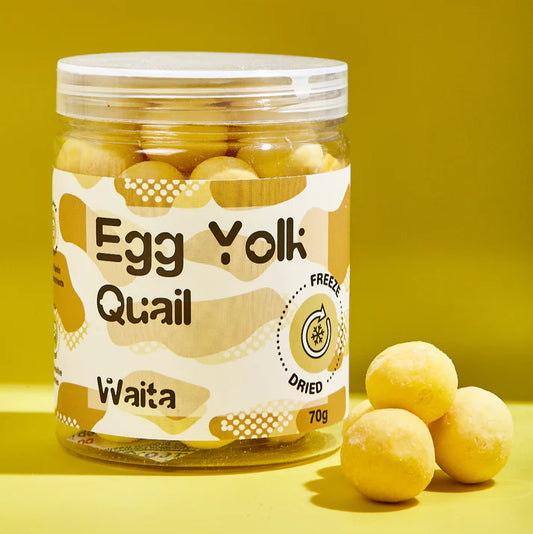 Freeze Dried Quail Egg Yolk