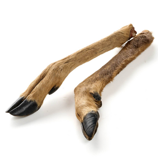Natural Deer Lower Leg with Fur – Long-Lasting Chew for Dogs 