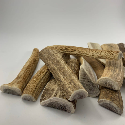 Deer Antler Chew - Medium