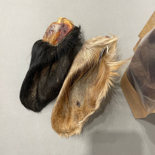 Dried Beef Ears with Fur