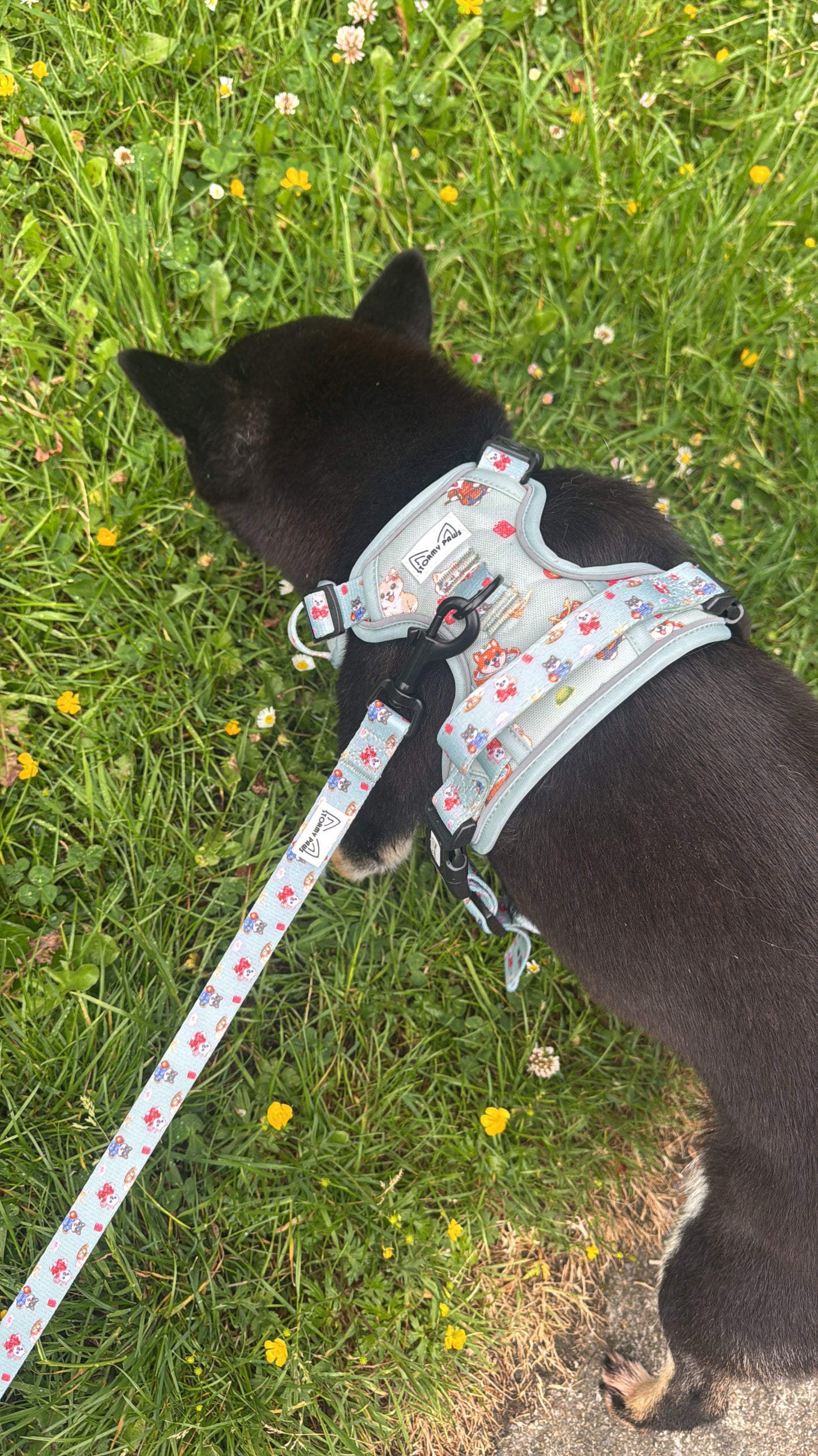 Shiba Squad: Tactical Harness