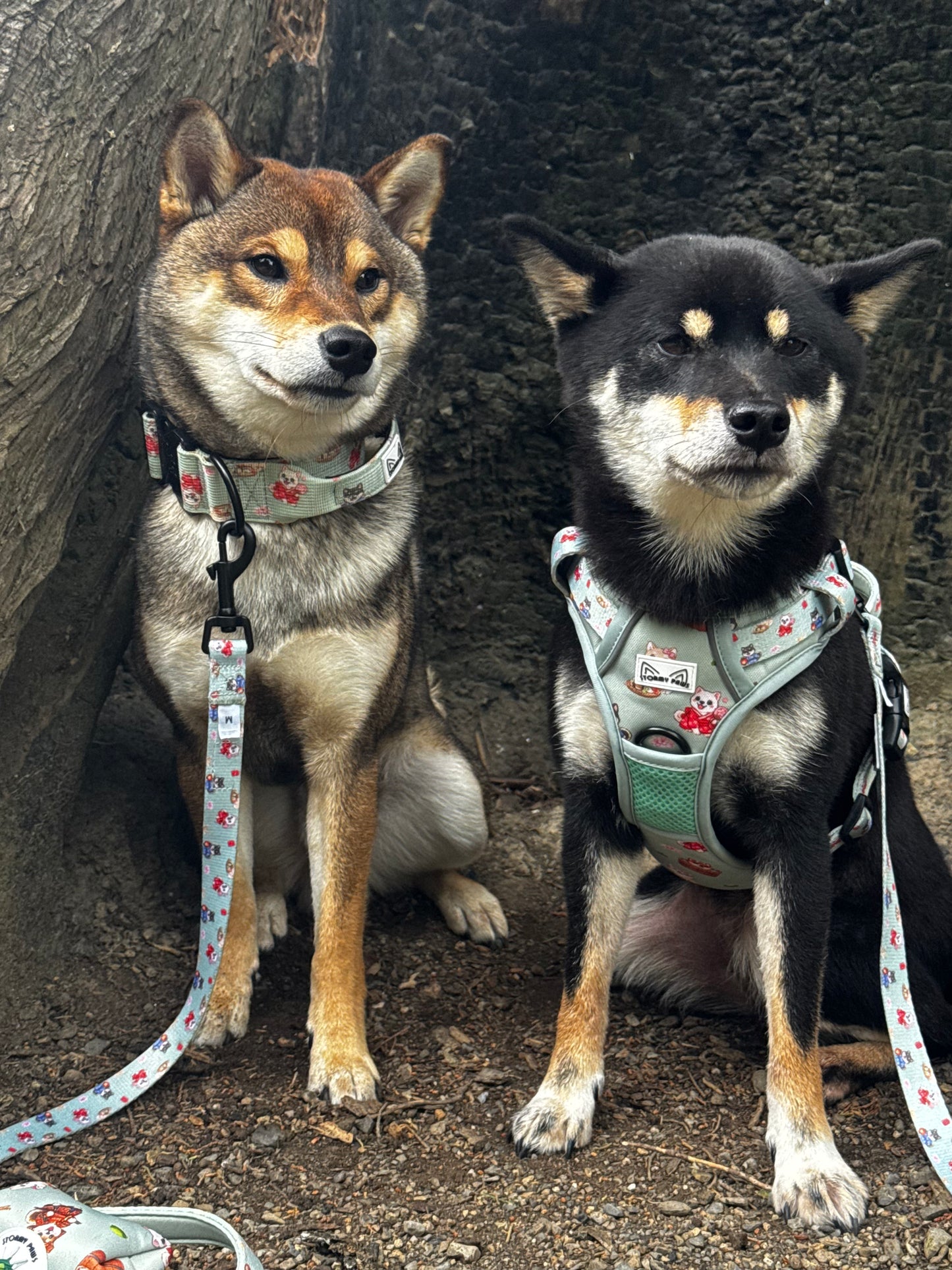 Shiba Squad: Tactical Harness