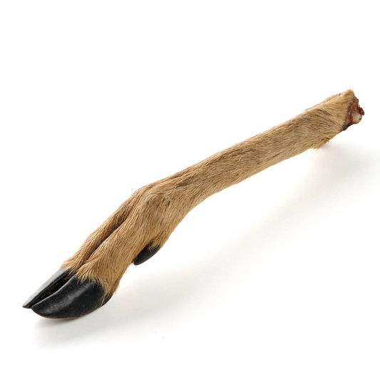 Natural Deer Lower Leg with Fur – Long-Lasting Chew for Dogs 