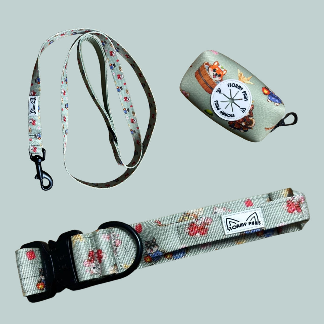 Shiba Squad Collar Collection (tactical collar, lead, poo bag holder) - PRE ORDER BUNDLE SPECIAL OFFER